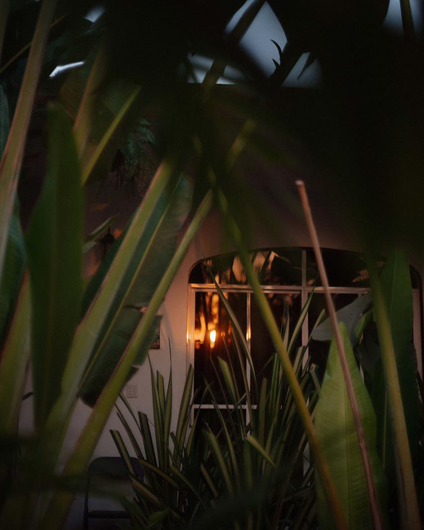 Casa Punta gallery 10