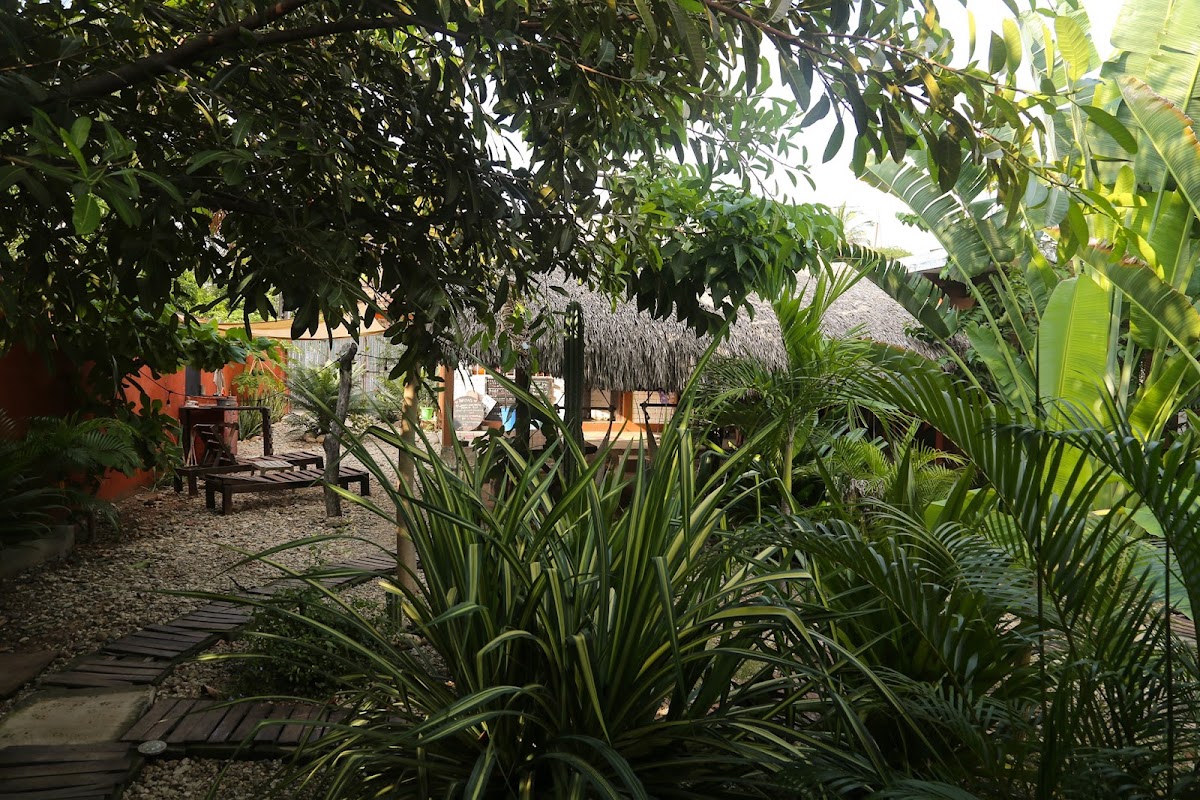 Casa Punta gallery 4
