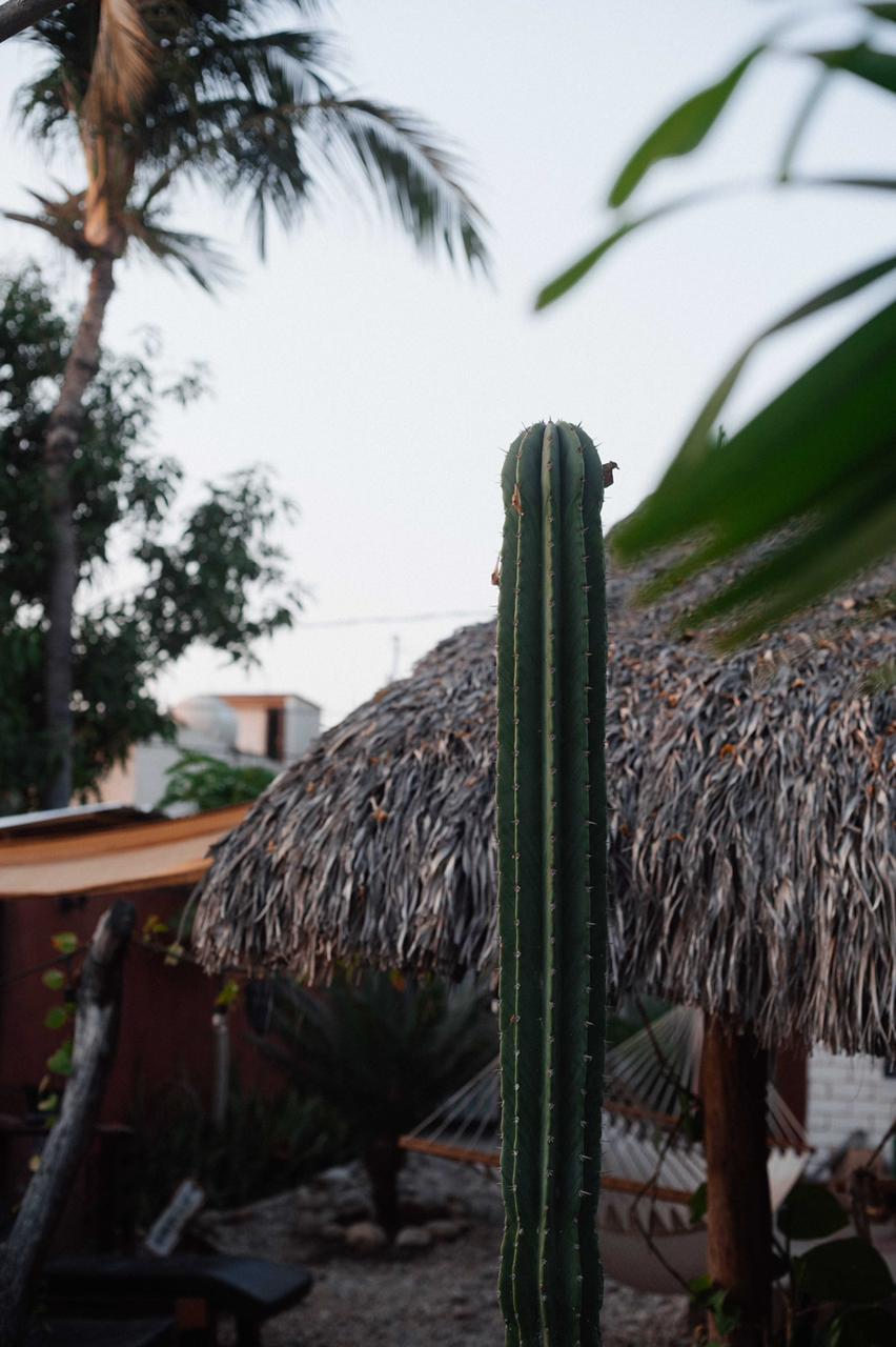 Casa Punta gallery 9