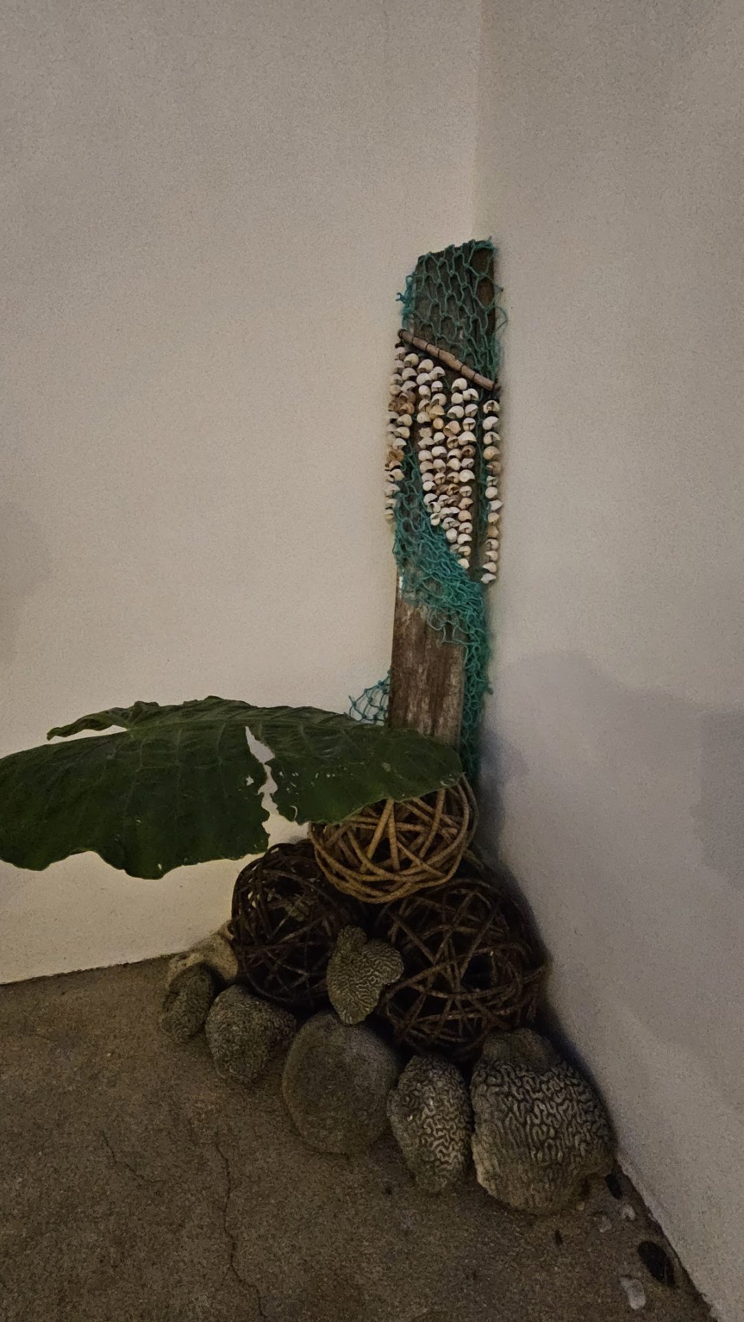 Casa Rana Mahahual gallery 10