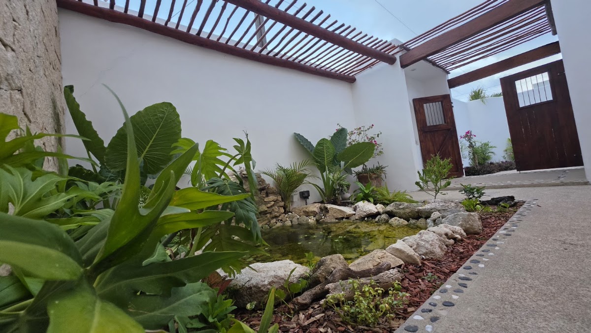 Casa Rana Mahahual gallery 4