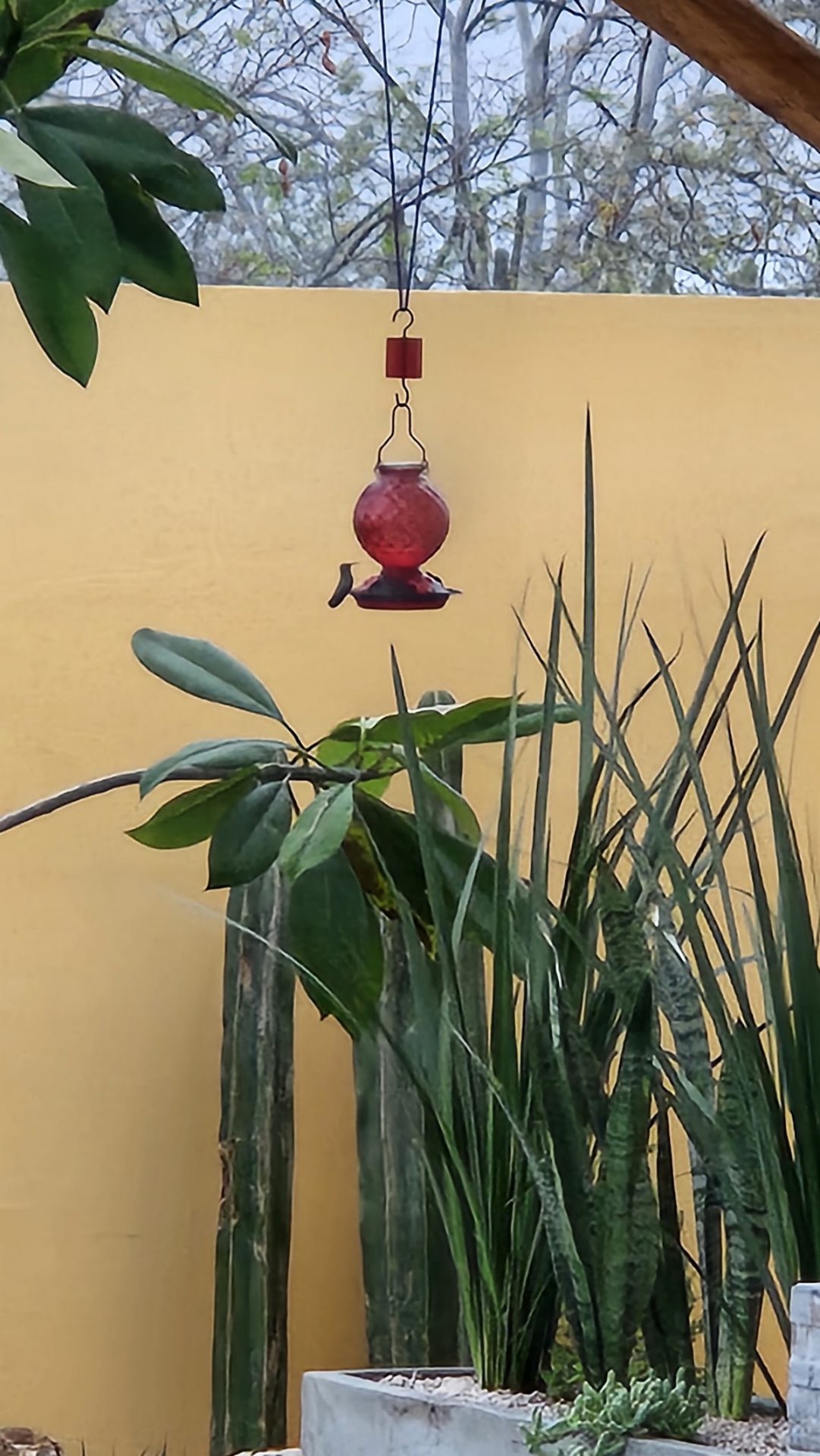 Casa Sarah Linda gallery 8