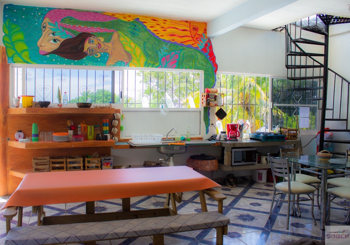 Casa Sobek / Cerrado gallery 4