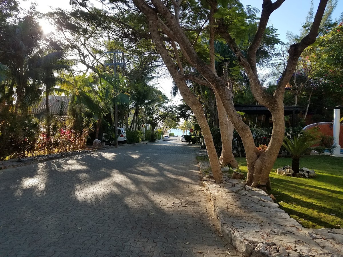 Casa Tambuuco gallery 9