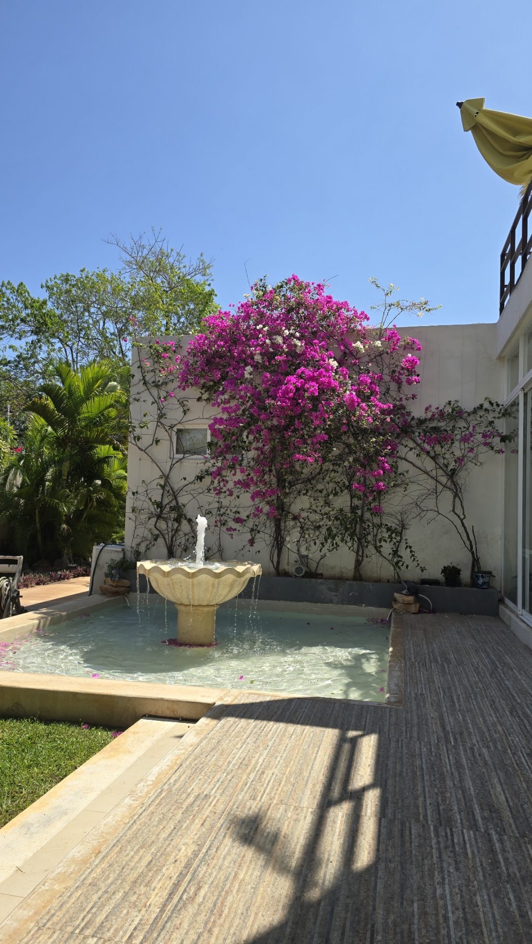 Casa Xcanatun gallery 3