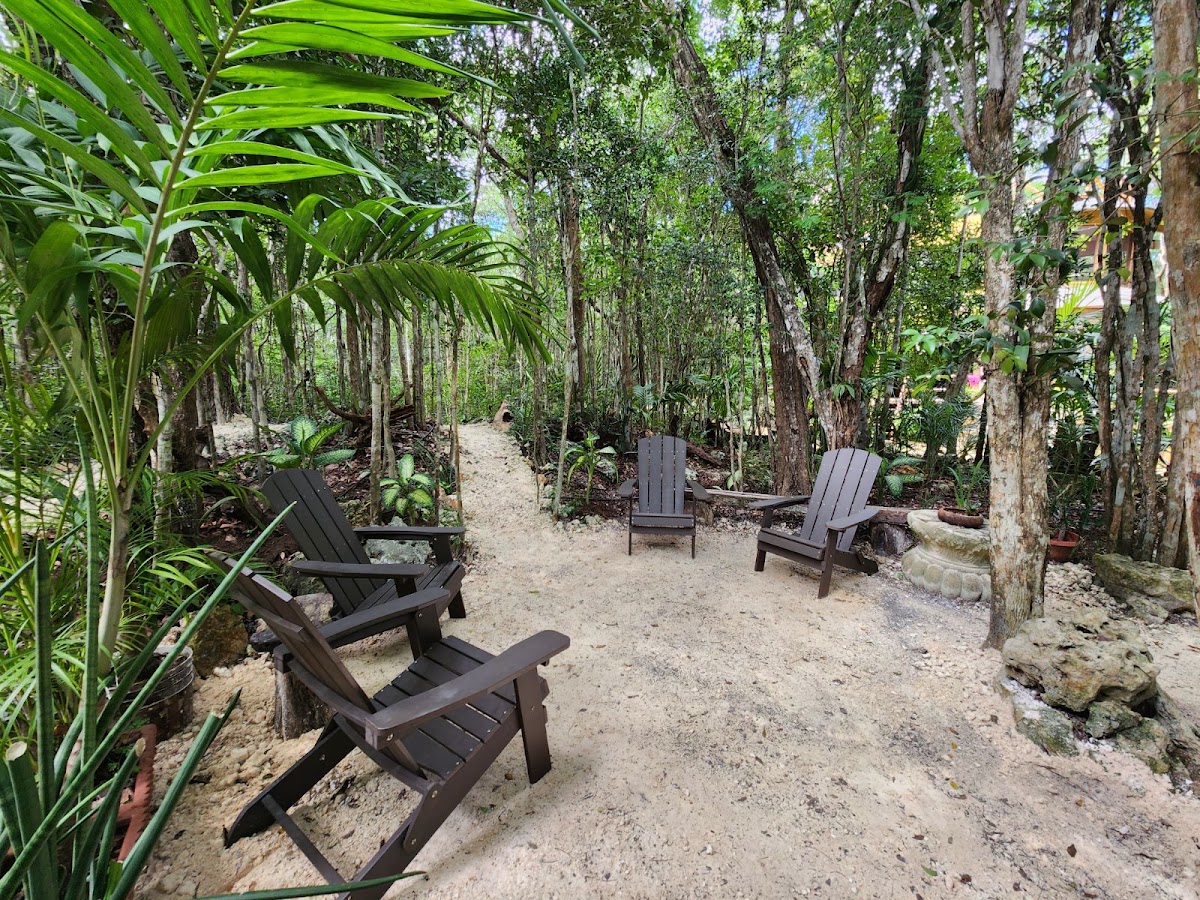 Casa y Palapa de la Selva Sac·Be gallery 6