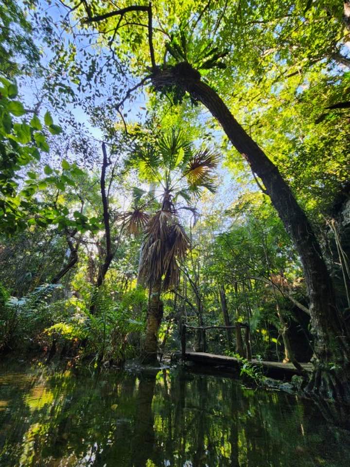 Casa y Palapa de la Selva Sac·Be gallery 7
