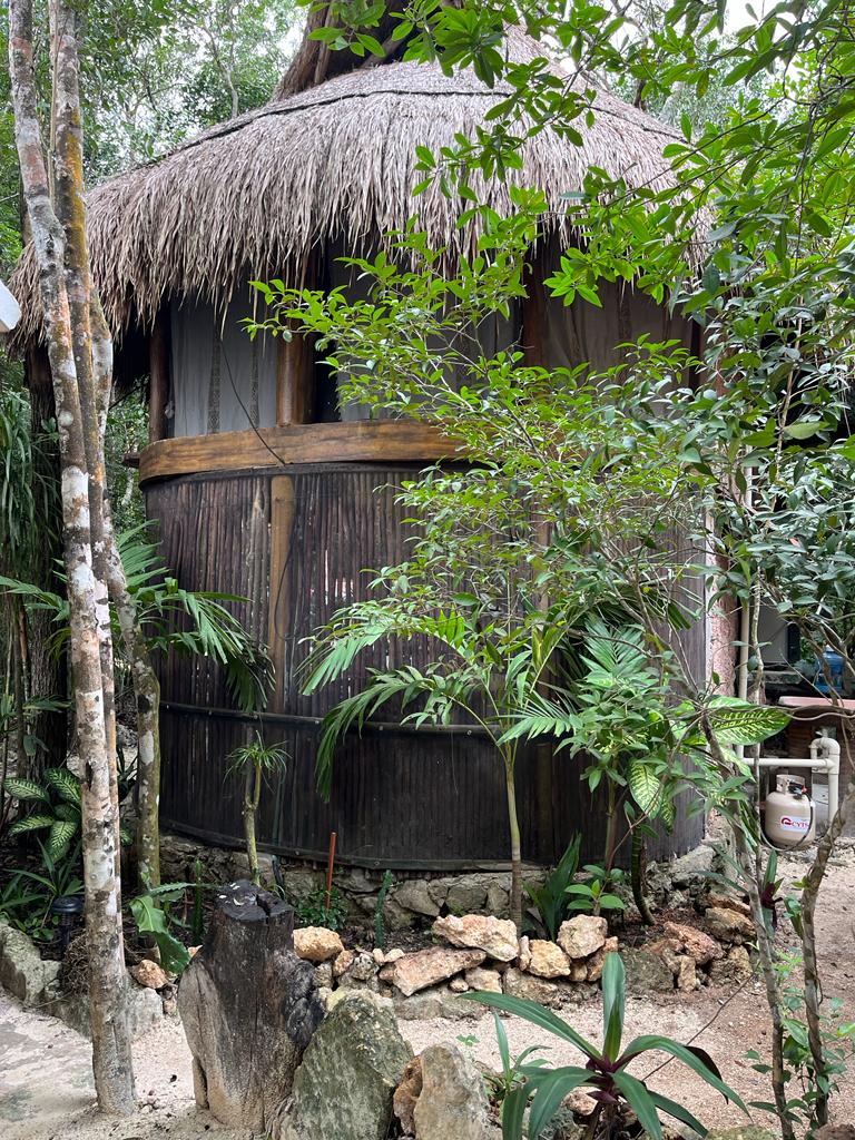 Casa y Palapa de la Selva Sac·Be gallery 8