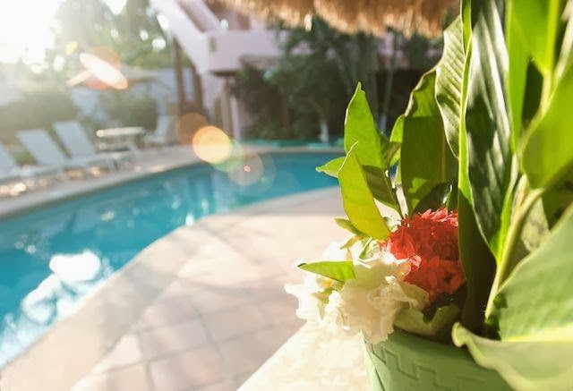 Casamar Suites Hotel gallery 5