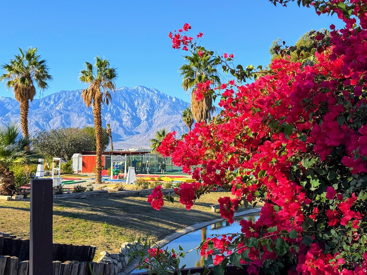 Catalina Spa RV Resort gallery 4