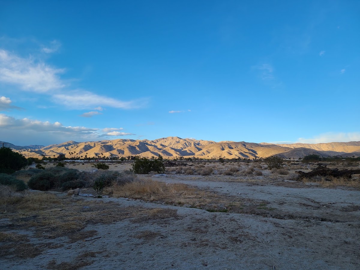 Catalina Spa RV Resort gallery 7