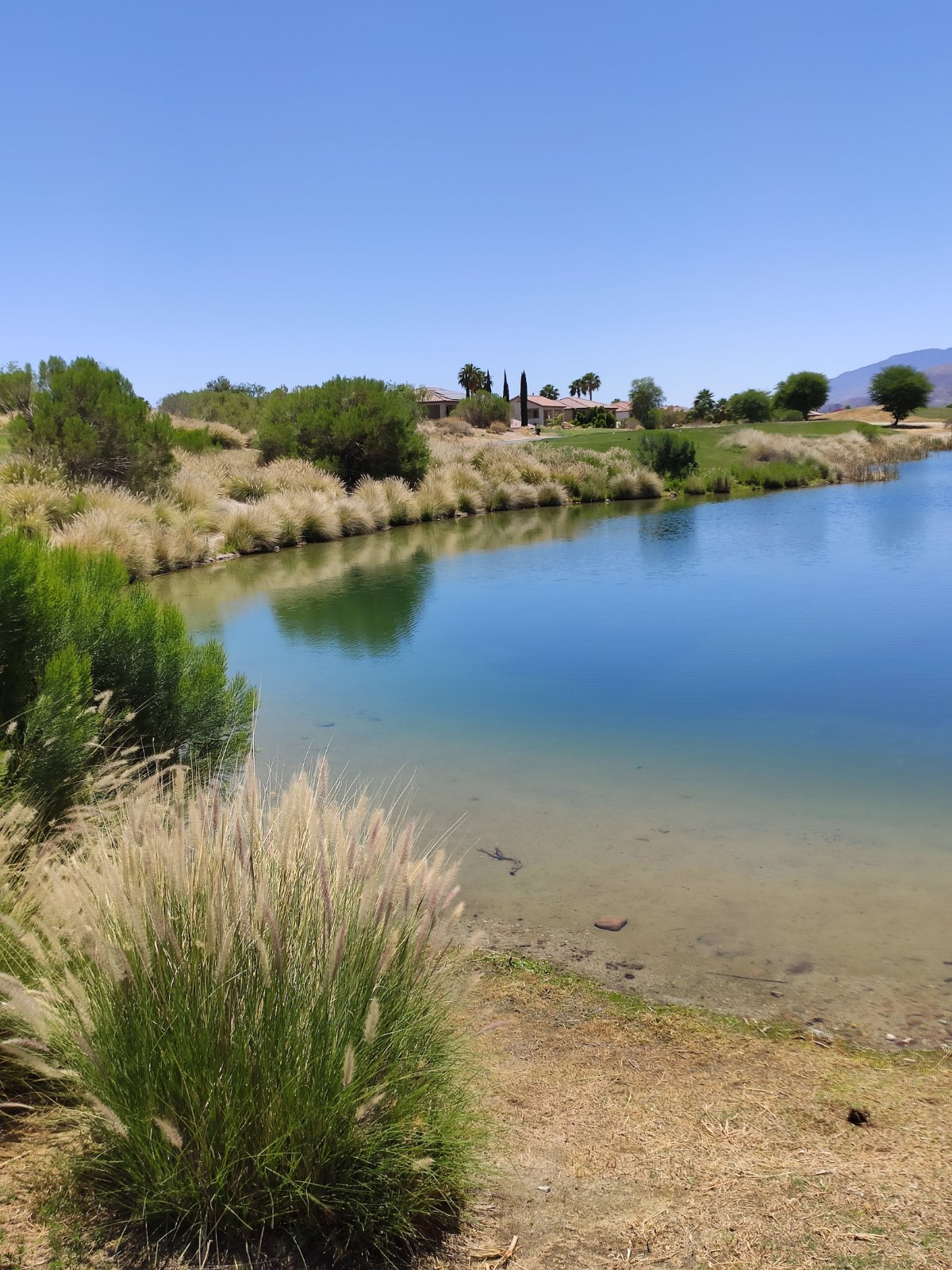 Cimarron Golf Resort gallery 4