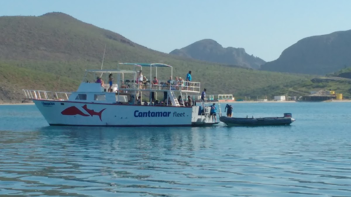 Club Hotel Cantamar gallery 10