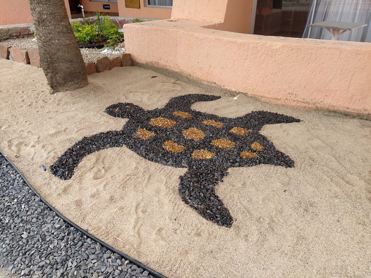 Club Hotel Cantamar gallery 9