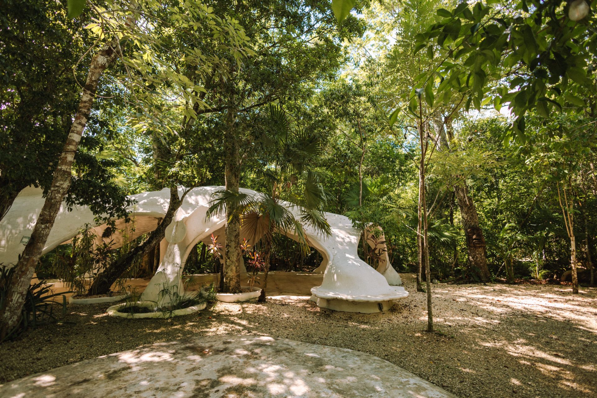 Cenote Elvira gallery 11
