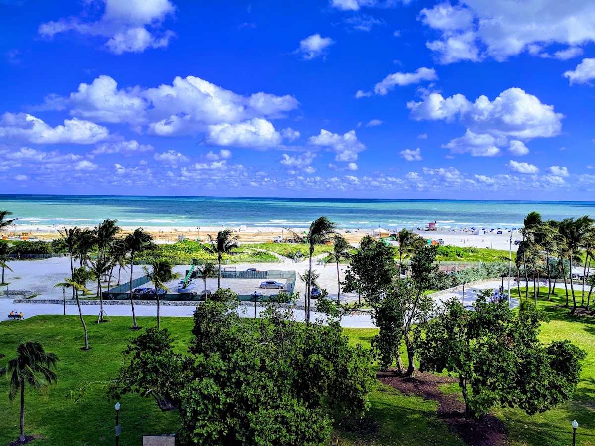 Congress Hotel South Beach gallery 4