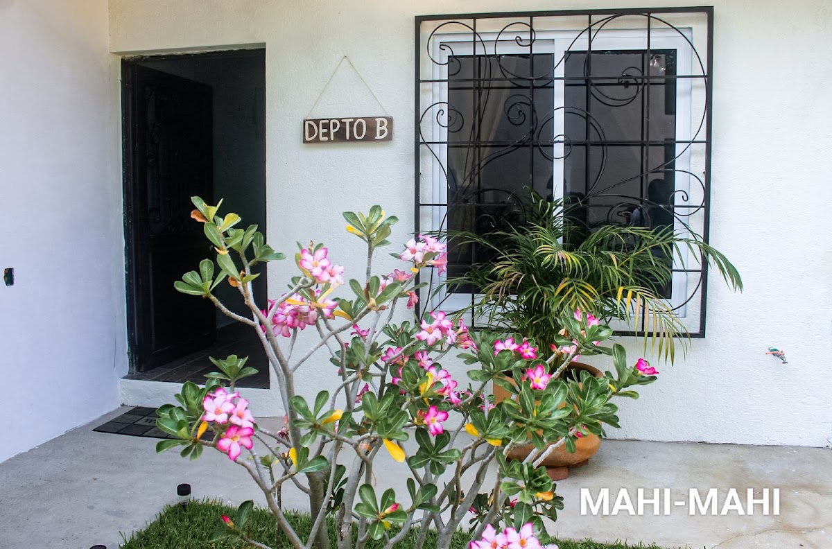 Departamentos Mahi-Mahi gallery 7