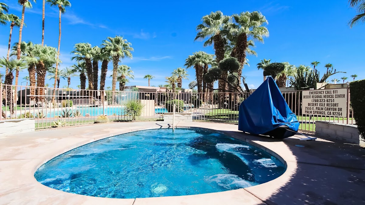 Desert Isle of Palm Springs gallery 3