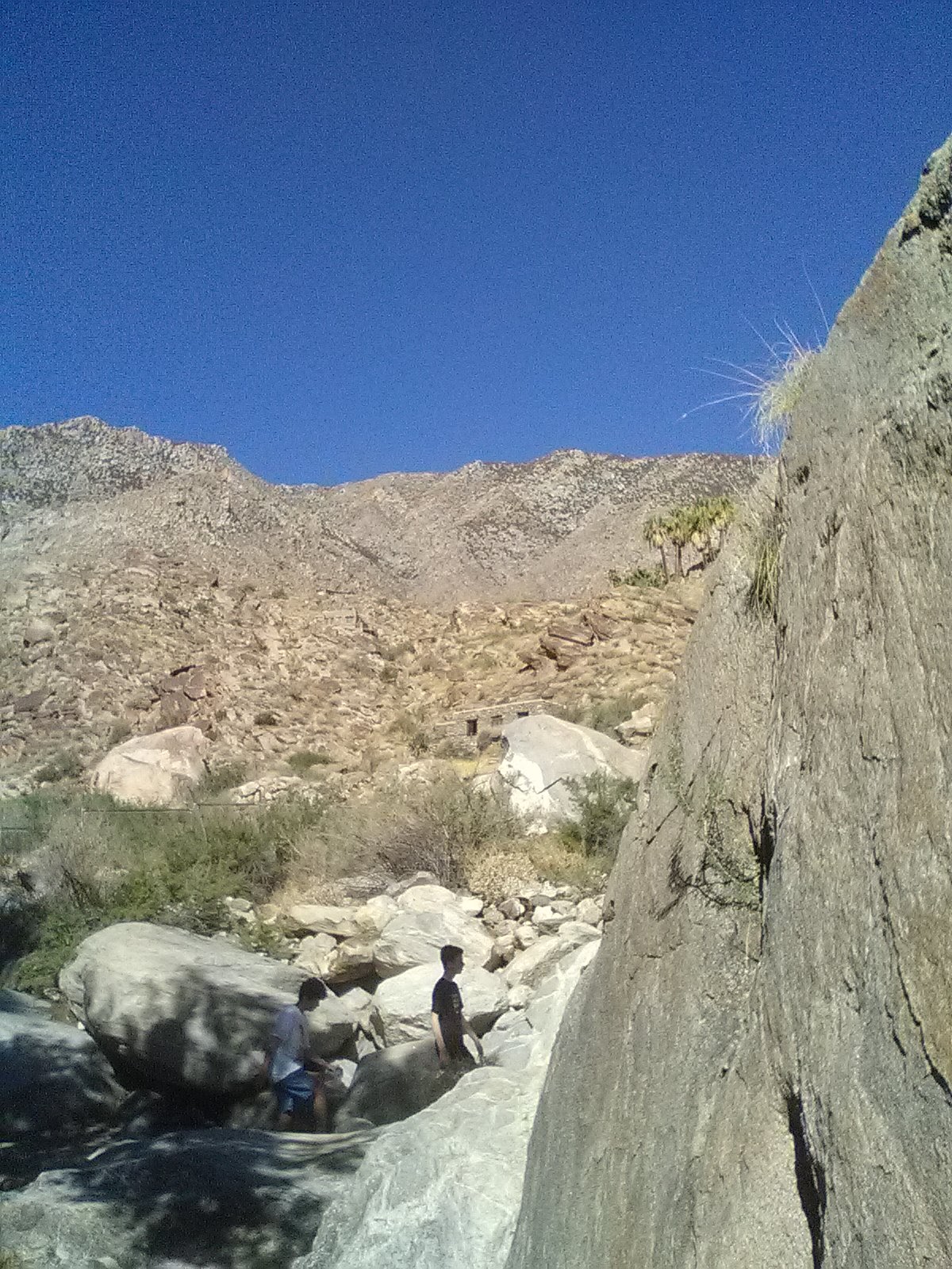 Desert Oasis Mobile Home & RV Resort gallery 6