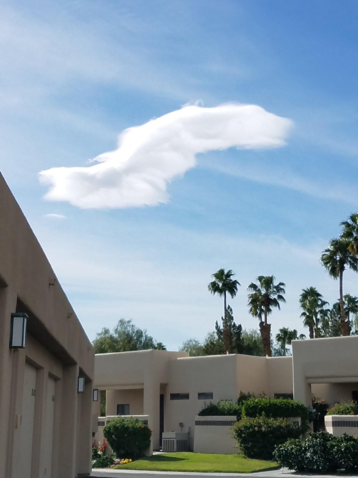 Desert Princess Country Club gallery 10