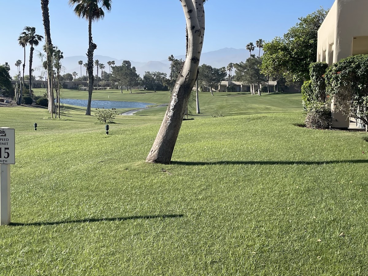 Desert Princess Country Club gallery 6