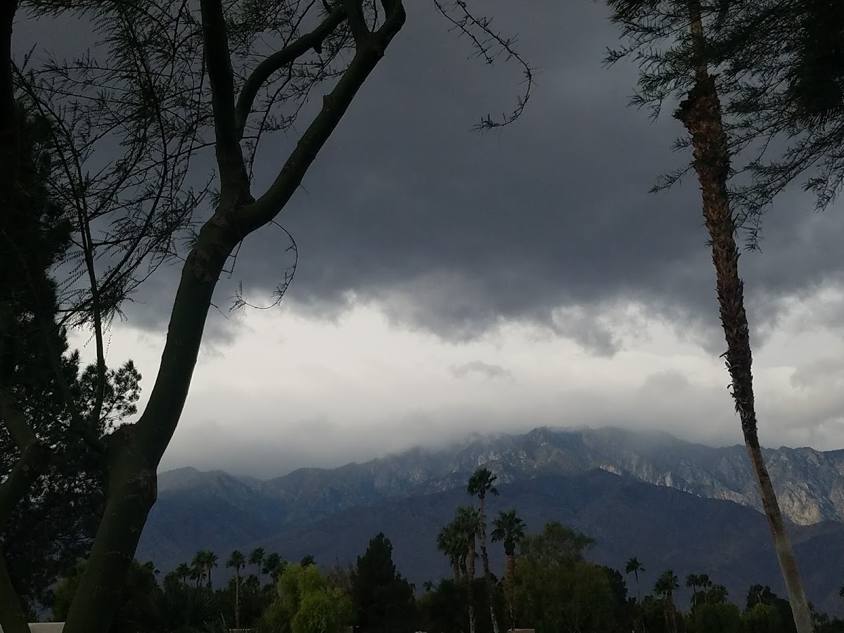 Desert Princess Country Club gallery 7