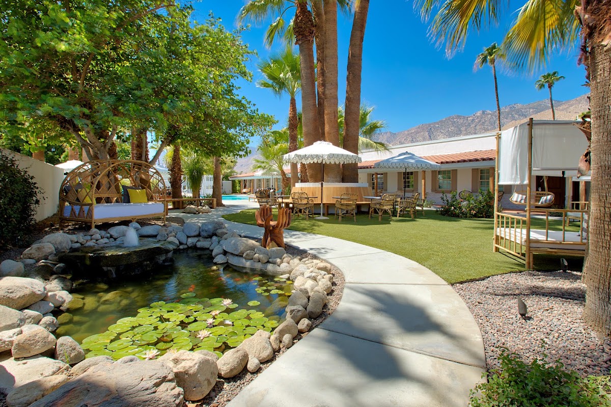Dive Palm Springs Hotel gallery 1