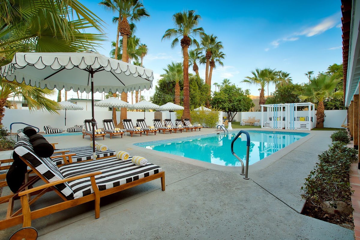 Dive Palm Springs Hotel gallery 3