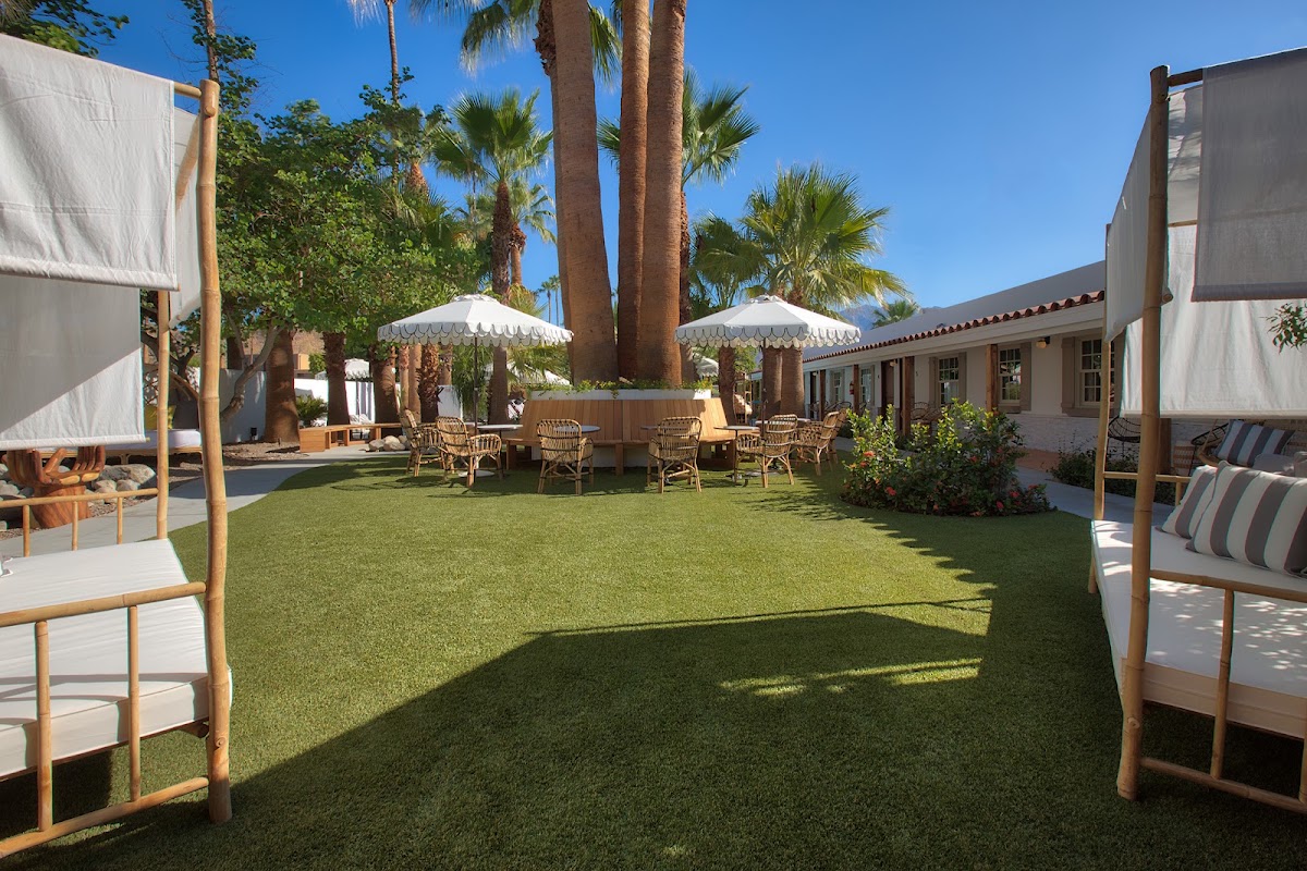 Dive Palm Springs Hotel gallery 7