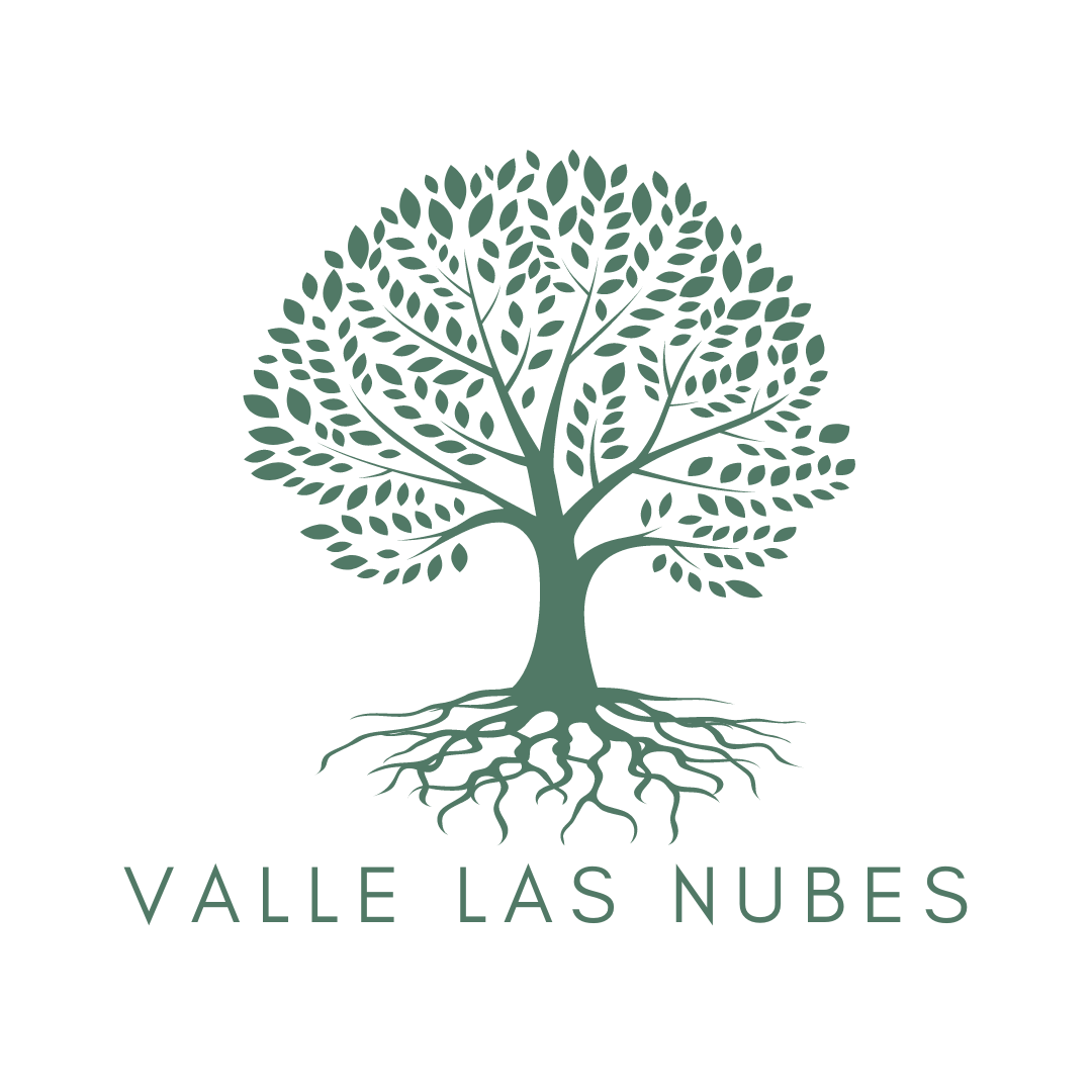 Centro Educativo Valle las Nubes gallery 11