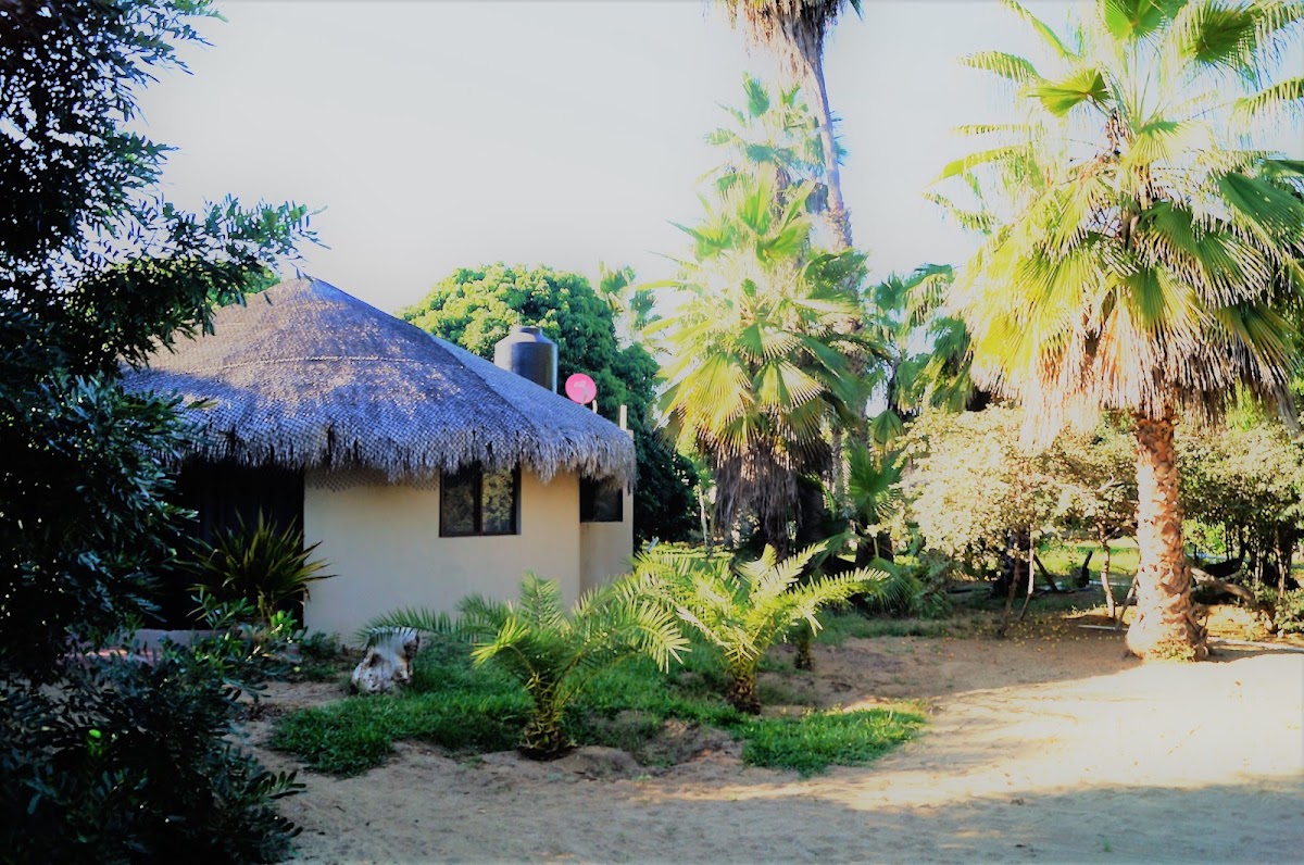 El Jardín Del Santo Edén gallery 1