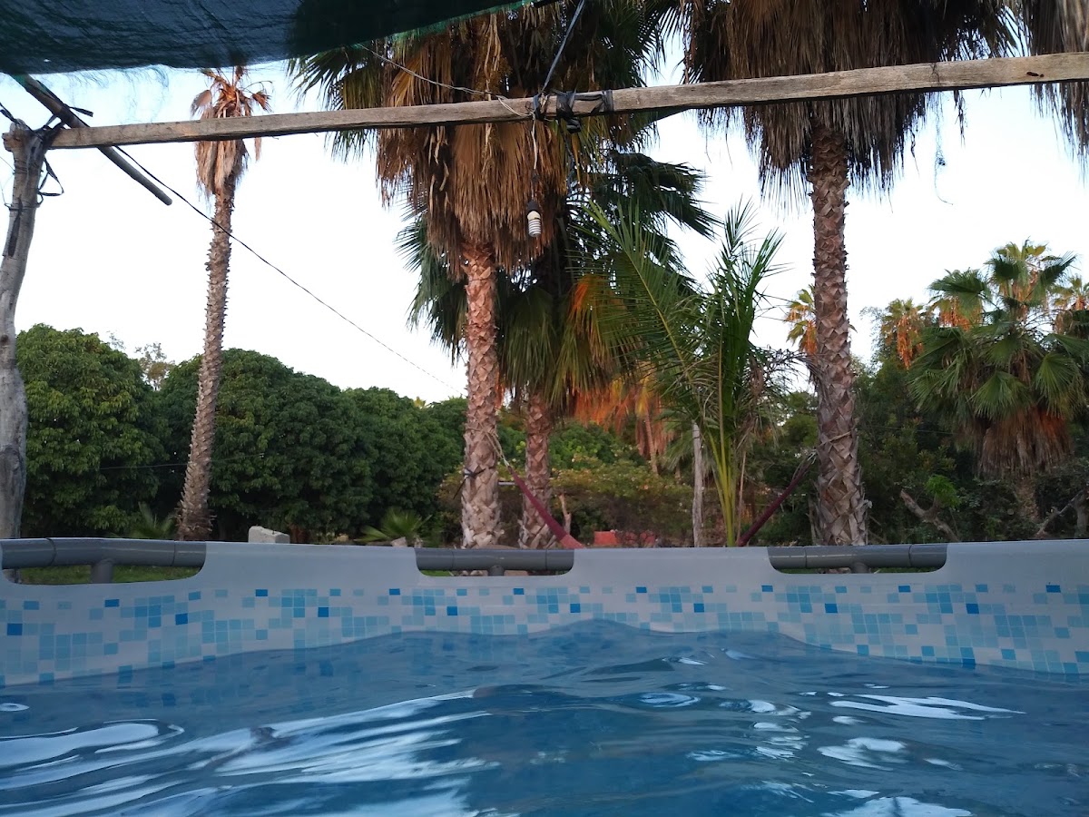 El Jardín Del Santo Edén gallery 3