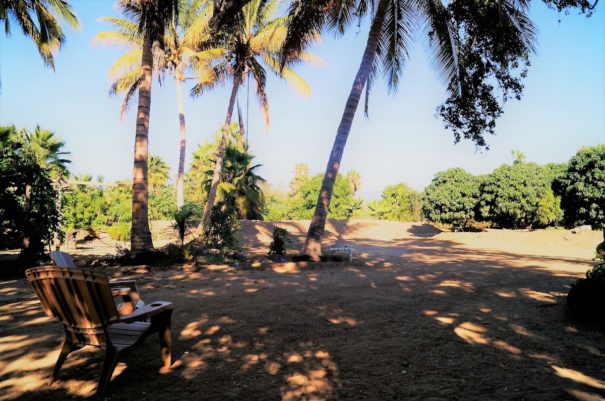El Jardín Del Santo Edén gallery 6