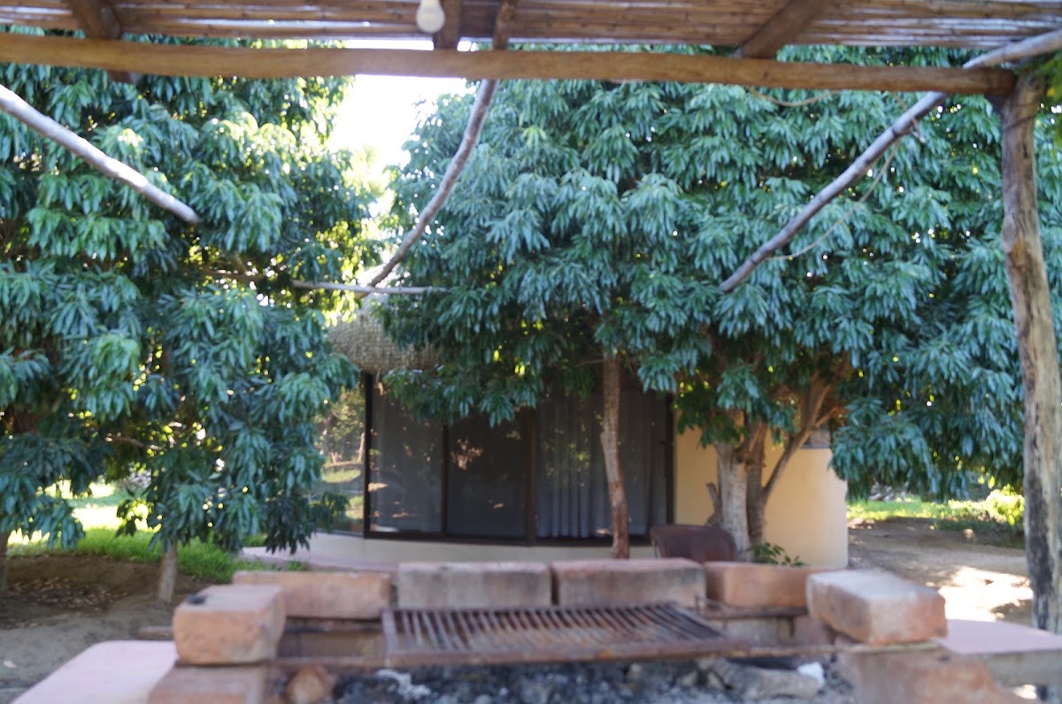 El Jardín Del Santo Edén gallery 9