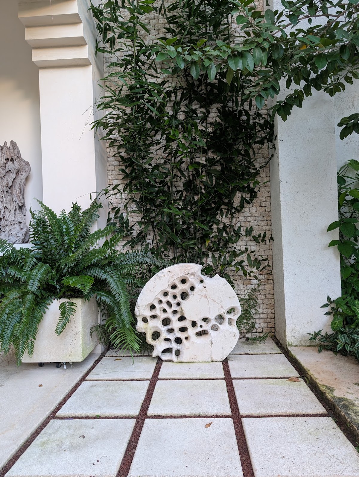 El Pueblo Mérida gallery 10