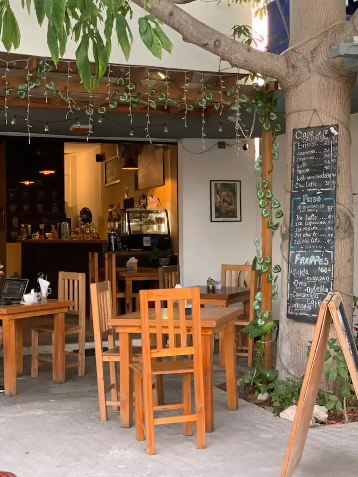 El Refugio - PDC gallery 4