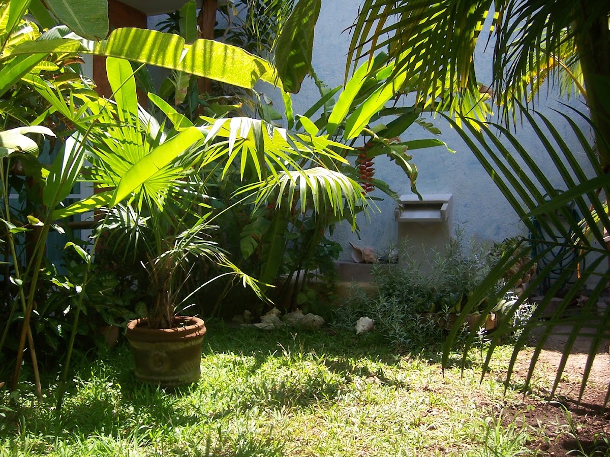 Elements Of The Island gallery 8