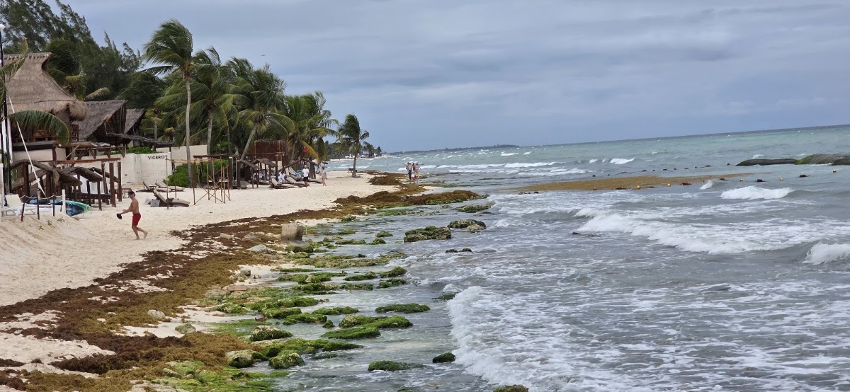 Epic Vacation Club Beach gallery 3