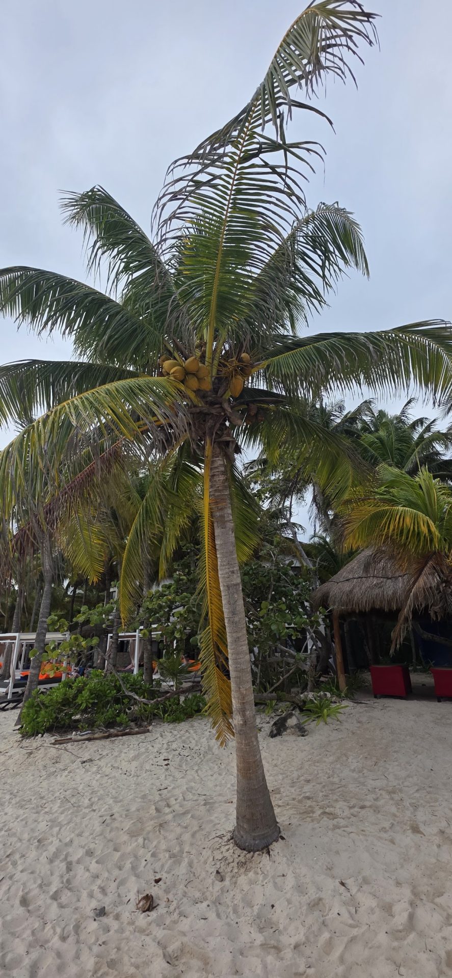 Epic Vacation Club Beach gallery 5
