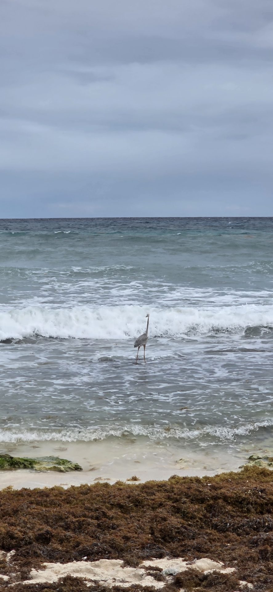 Epic Vacation Club Beach gallery 9