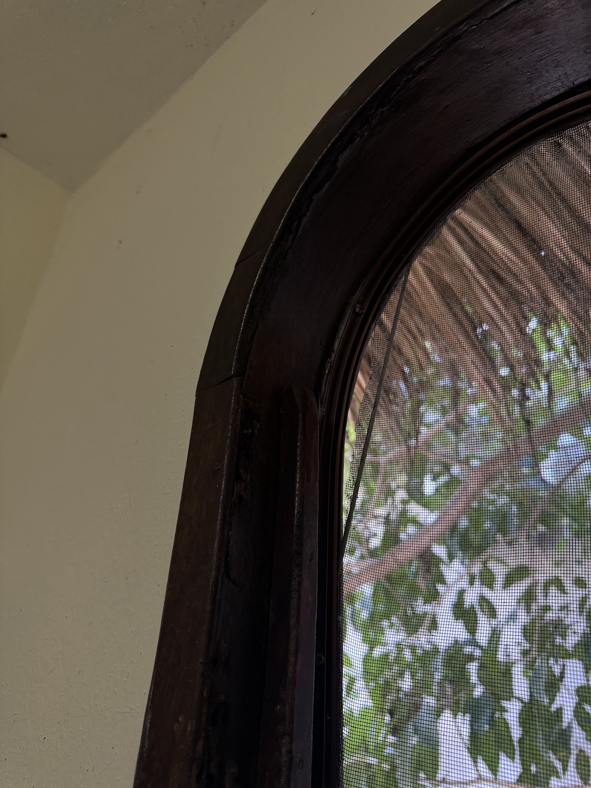 Esencia Puerto Escondido gallery 8