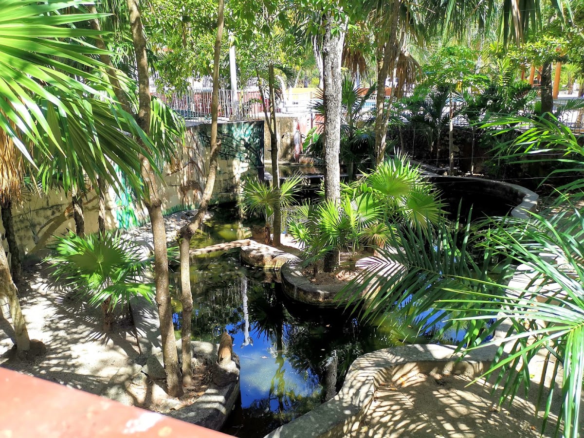 Finca Yorogana gallery 3