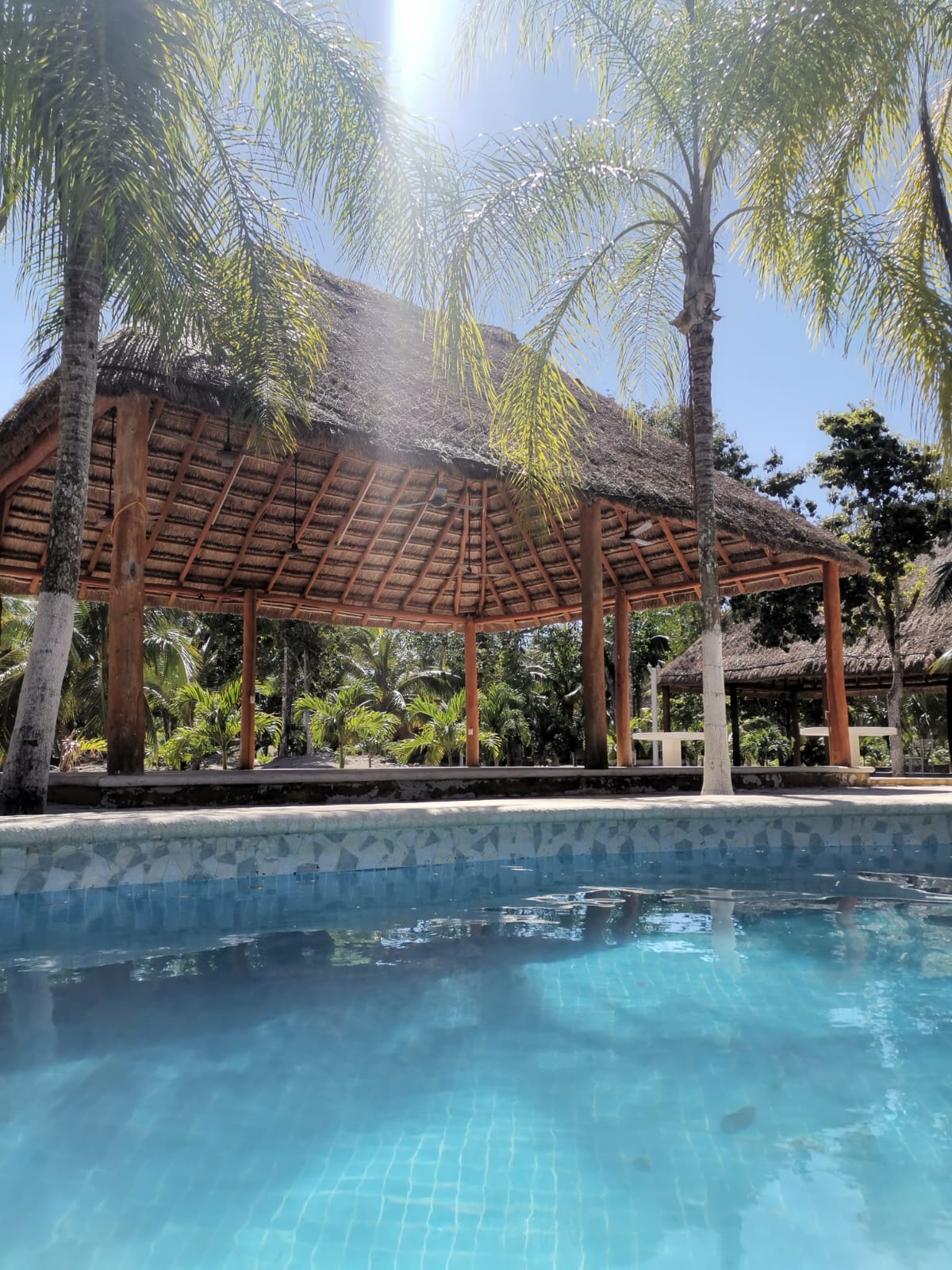 Finca Yorogana gallery 5