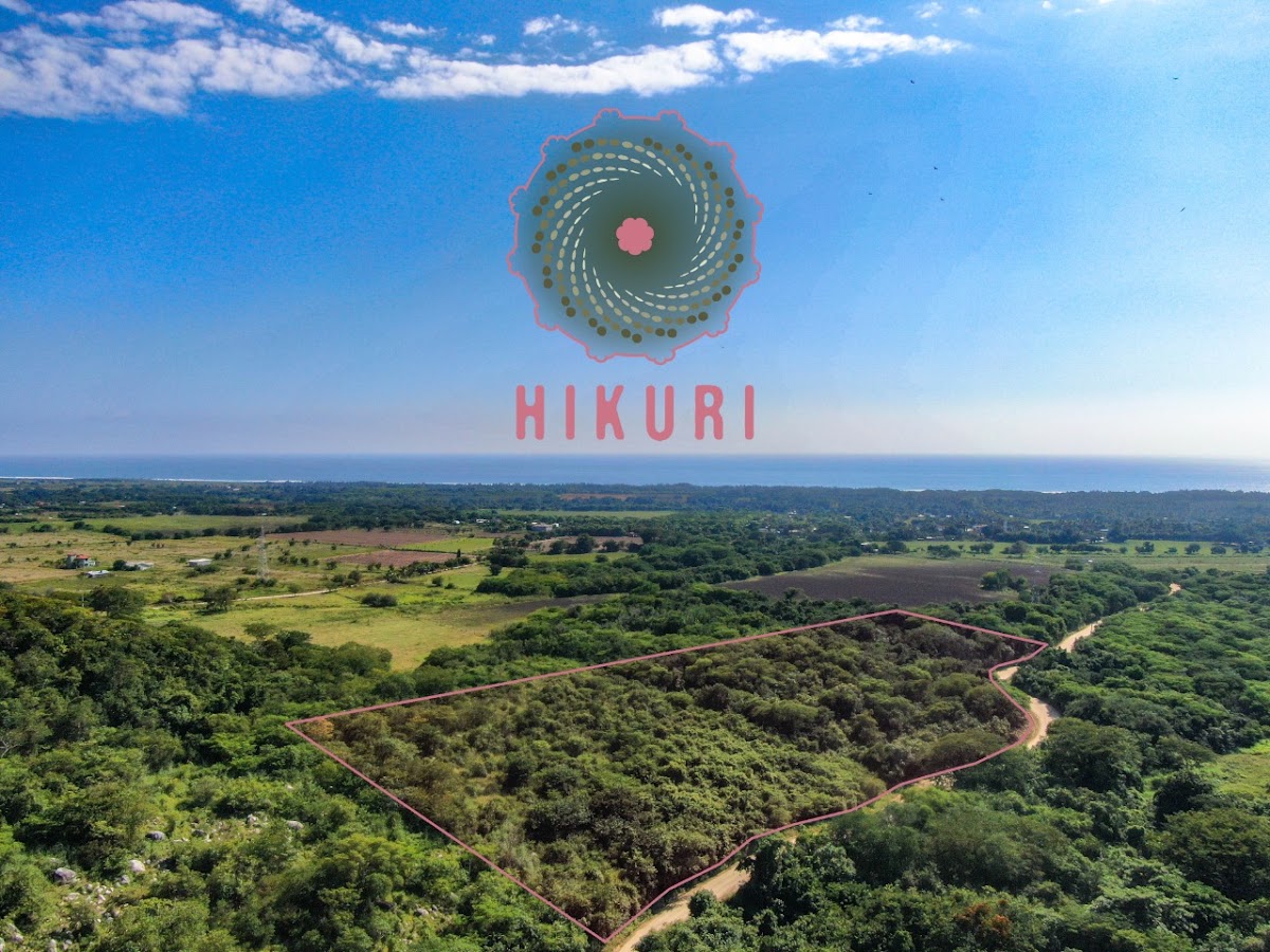 Fraccionamiento Hikuri gallery 2