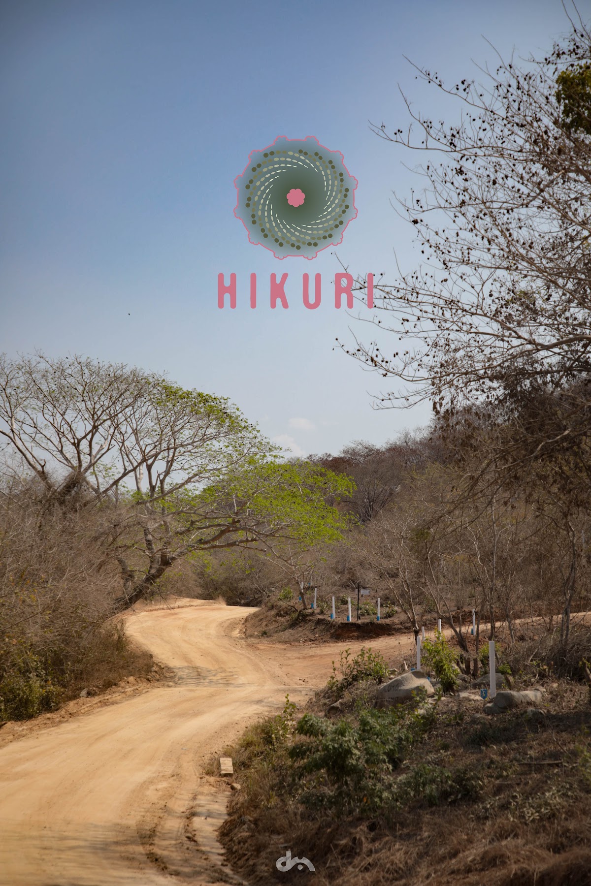 Fraccionamiento Hikuri gallery 4