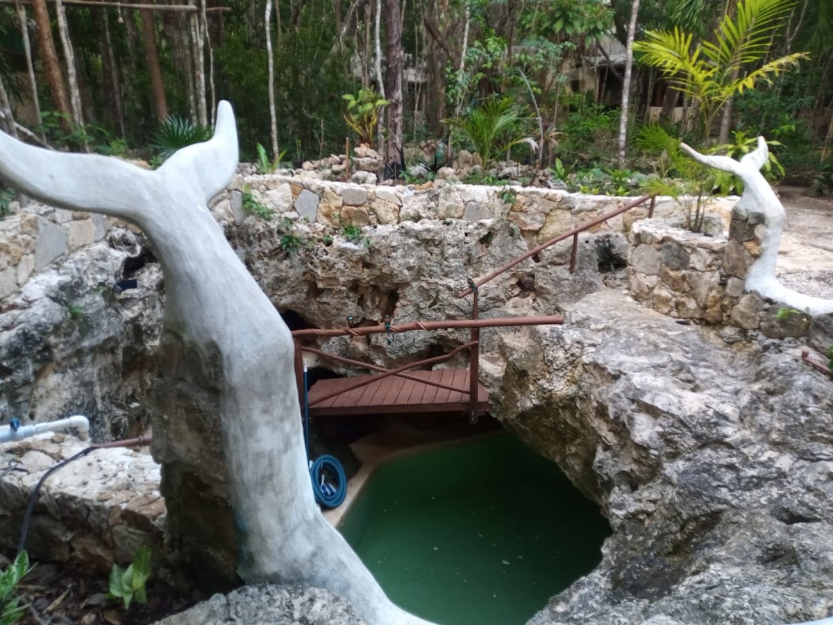 Glamp Aak Eco-friendly jungle retreat gallery 3