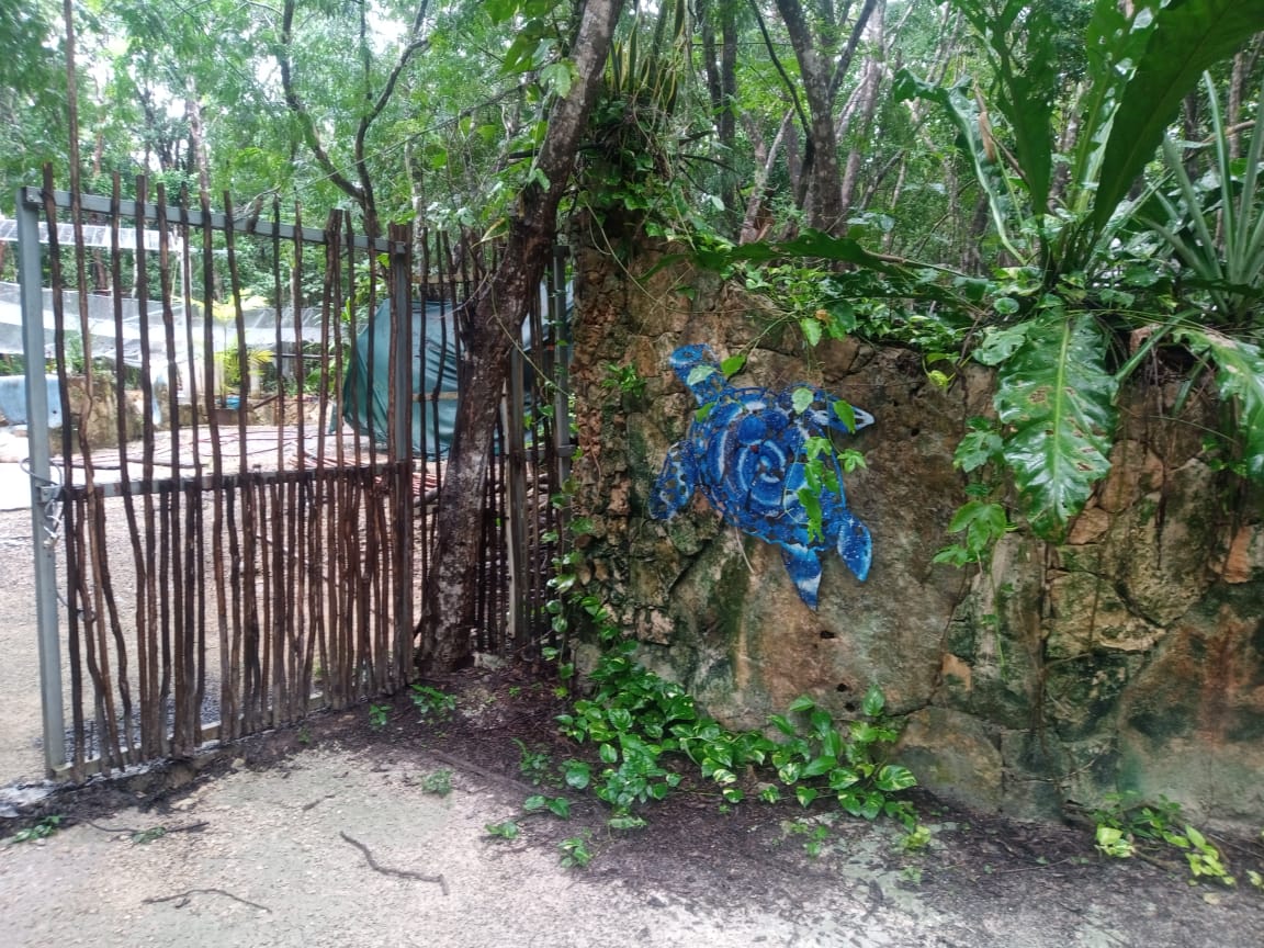 Glamp Aak Eco-friendly jungle retreat gallery 6