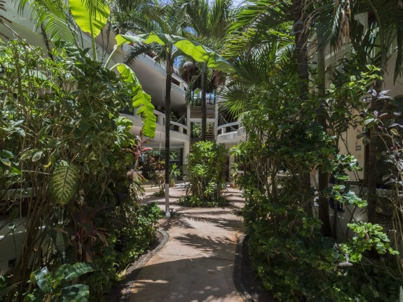 Playa Palms Beach Hotel gallery 12