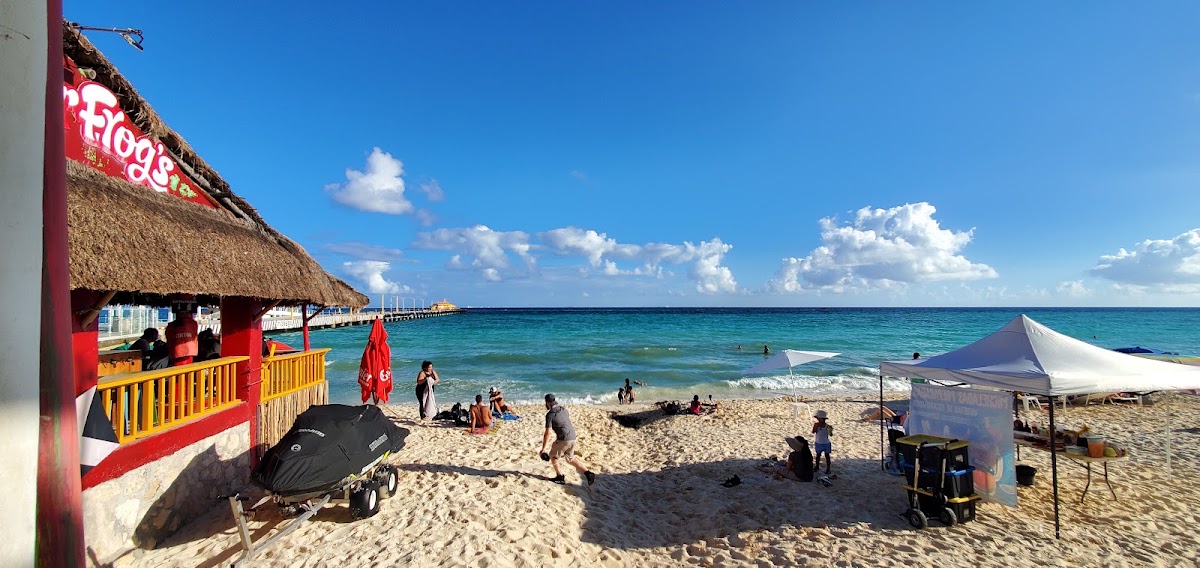 -- gallery 10