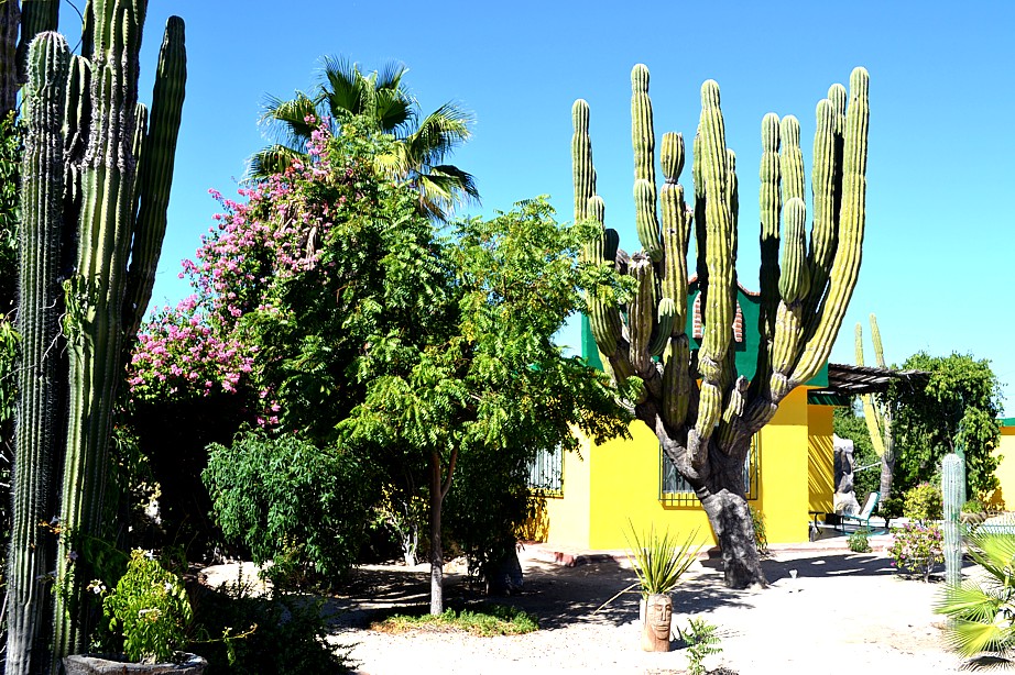 Hacienda Del Sol gallery 4
